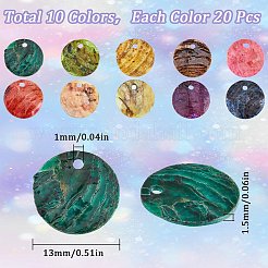 200Pcs 10 Colors Spray Painted Natural Akoya Shell Charms&nbsp;SHEL-SC0001-37