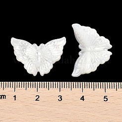 Natural White Shell Carved Cabochons&nbsp;SSHEL-I026-30
