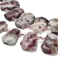 Natural Plum Blossom Tourmaline Beads Strands&nbsp;G-H078-A01-02