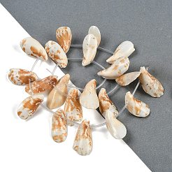 Natural Shell Beads Strands&nbsp;SHEL-K009-12