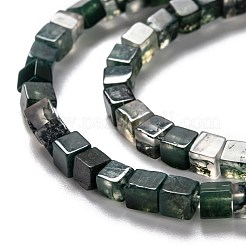 Natural Moss Agate Beads Strands&nbsp;G-F631-K13