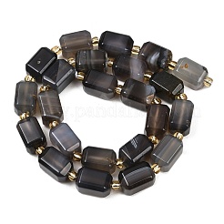 Natural Botswana Agate Beads Strands&nbsp;G-P611-A02-02