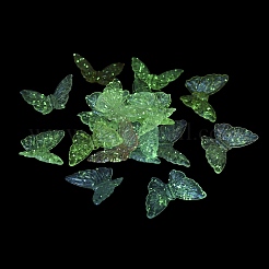 UV Plating Transparent Rainbow Iridescent Acrylic Beads&nbsp;LACR-R001-09A