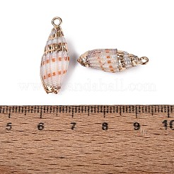 Electroplated Golden Brass Trim Natural Spiral Shell Pendants&nbsp;SSHEL-N042-39