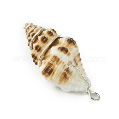 Natural Scallop Shell & Round Shell Pearl Pendants&nbsp;PALLOY-TA00197-01