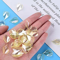 Transparent Acrylic Beads&nbsp;MACR-S373-103-C