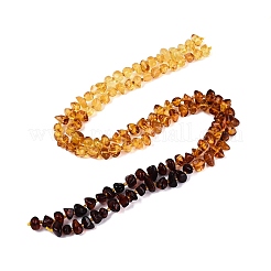 Gradient Color Natural Amber Beads Strands&nbsp;G-N371-11A-01