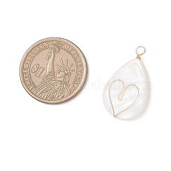 3Pcs 3 Styles Natural Freshwater Shell Pendants&nbsp;PALLOY-JF04303
