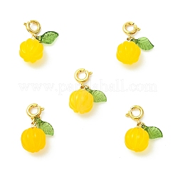 5Pcs Natural Agate Pendant Decorations&nbsp;FIND-CJ0005-39B