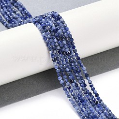 Natural Sodalite Beads Strands&nbsp;X-G-G139-A07-02