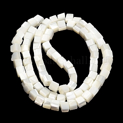Natural Trochid Shell/Trochus Shell Beads Strands&nbsp;SHEL-C010-05B