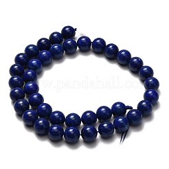 Natural Lapis Lazuli Beads Strands&nbsp;G-L642-B05-10mm