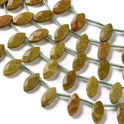 Natural Green Opal Beads Strands&nbsp;G-P607-A08-01