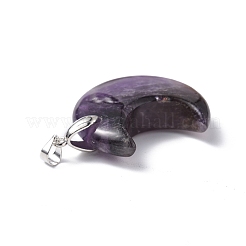 Natural Amethyst Pendants&nbsp;G-Z022-04C