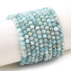 Natural Larimar Beads Strands&nbsp;G-K376-A03-4mm