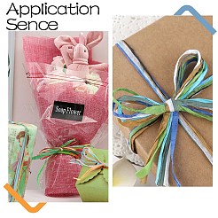 Natural Raffia Ribbon&nbsp;OCOR-CJ0004-02B