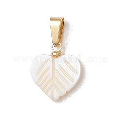 Natural Freshwater Shell Pendants&nbsp;PALLOY-JF05136
