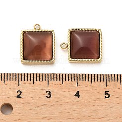 304 Stainless Steel Charms&nbsp;STAS-L022-075G