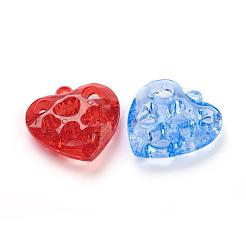 Transparent Acrylic Pendants&nbsp;TACR-R11-M