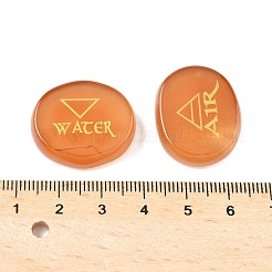 4Pcs 4 Styles Natural Carnelian Display Decorations&nbsp;G-F786-02D-02