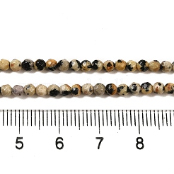Natural Dalmatian Jasper Beads Strands&nbsp;G-Z068-B07-01