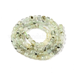 Natural Prehnite Beads Strands&nbsp;G-N342-124