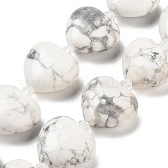 Natural Howlite Beads Strands&nbsp;G-C150-A18-01