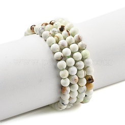 Natural Lemon Turquoise(Jasper) Beads Strands&nbsp;G-A262-A04-5mm