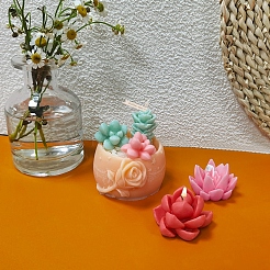 Potted Succulent DIY Food Grade Silicone Mold&nbsp;PW-WG17181-02