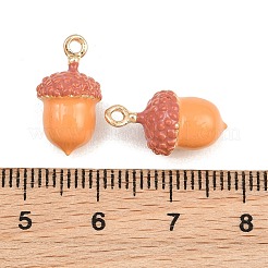Alloy Enamel Pendants&nbsp;AL-CBA072F-02G-02