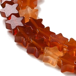 Natural Carnelian Beads Strands&nbsp;G-G085-B35-02