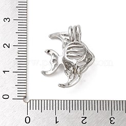 Alloy Bead Cage Pendants&nbsp;FIND-M012-01E-P