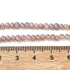 Natural Cultured Freshwater Pearl Beads Strands&nbsp;PA-CBAC463-21