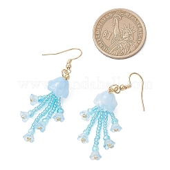 Glass Seed & Glass Beaded Dangle Earrings&nbsp;EJEW-MZ00687-01