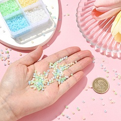 72G 4 Colors Glass Seed Beads&nbsp;SEED-YW0002-75B