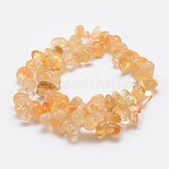 Natural Citrine Beads Strands&nbsp;G-F521-01