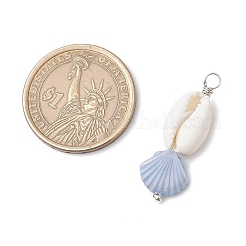 Natural Cowrie Shell & Plastic Shell Shape Pendants&nbsp;PALLOY-JF03795