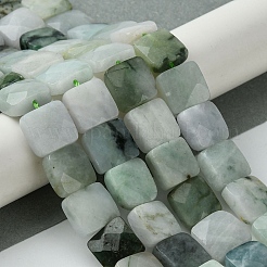 Natural Myanmar Jadeite Beads Strands&nbsp;G-A092-C01-02