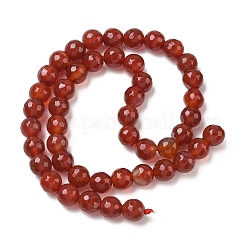 Dyed & Heated Natural Agate Beads Strands&nbsp;G-P539-D01-09