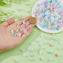 Acrylic Bead Caps&nbsp;OACR-DC0001-29A