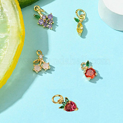 5Pcs 5 Styles Brass Micro Pave Cubic Zirconia Charms&nbsp;ZIRC-FP0001-01