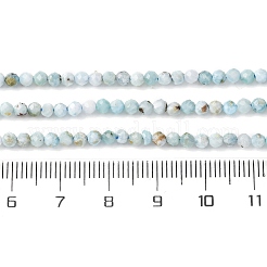 Natural Larimar Beads Strands&nbsp;G-F785-B01-01