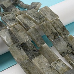 Natural Labradorite Beads Strands&nbsp;G-M420-G05-01