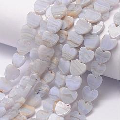 Natural Blue Lace Agate Bead Strands&nbsp;G-L420-25-10mm-12
