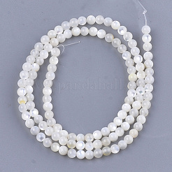 Natural White Shell Beads&nbsp;X-SHEL-T012-49B