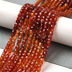 Natural Carnelian Beads Strands&nbsp;G-Q002-C01-02