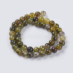Natural Dragon Veins Agate Beads Strands&nbsp;G-G515-8mm-02A