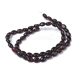 Natural Brecciated Jasper Bead Strands&nbsp;G-Z006-A10