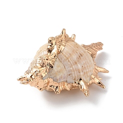 Electroplate Spiral Shell Big Pendants&nbsp;BSHE-C004-06G