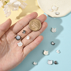 16Pcs 4 Styles Natural White Shell & Black Lip Shell Beads&nbsp;SSHEL-SC0001-34